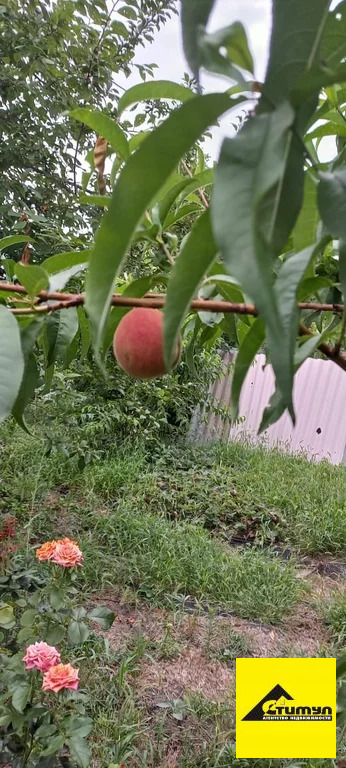 Продажа участка, Ейск, Ейский район, 12 - Фото 3