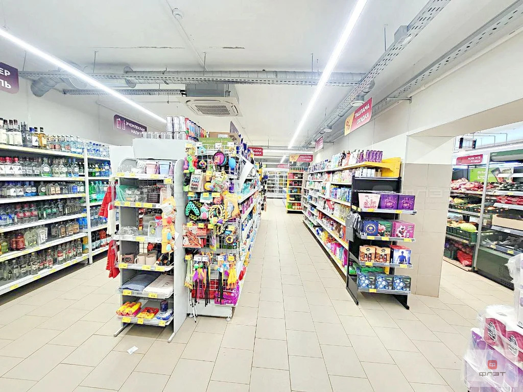 Продажа ПСН, Большие Ключи, Зеленодольский район, ул. Волостнова - Фото 11