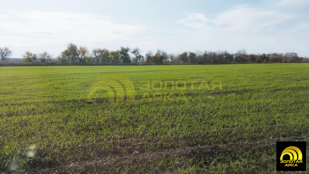 Продажа участка, Старотитаровская, Темрюкский район, Ильича пер. - Фото 5