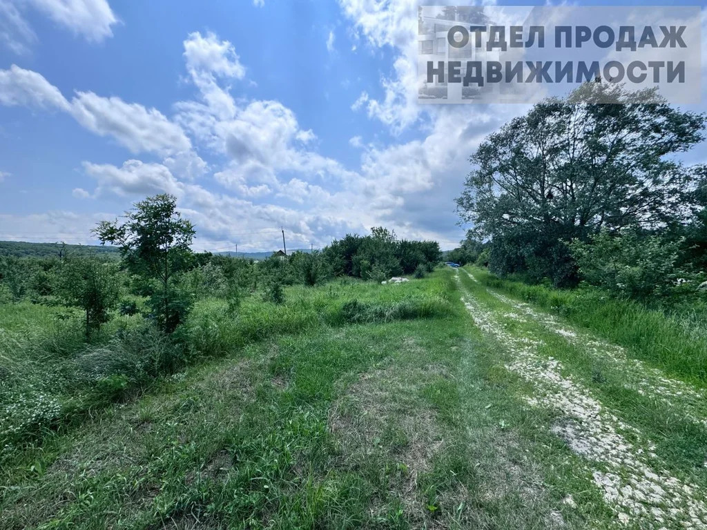 Большой участок - Фото 7