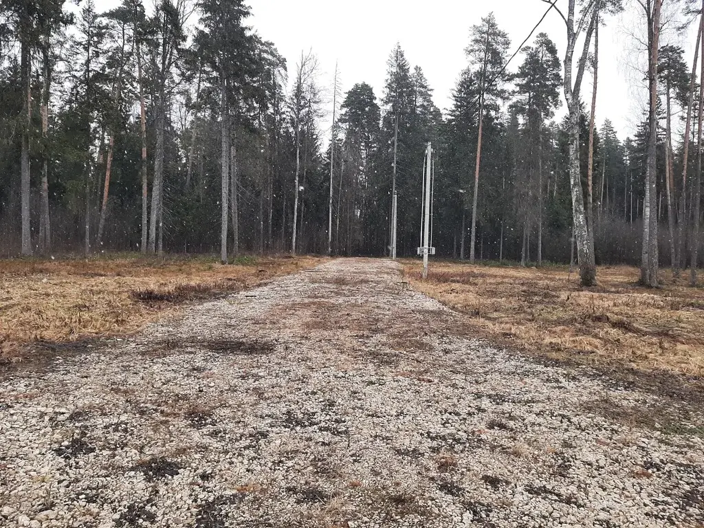 Продам участок ИЖС 13.74 сот. в с. Ивановское - Фото 14