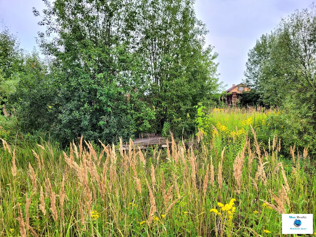 Продается участок. , Заболотье д, - Фото 1