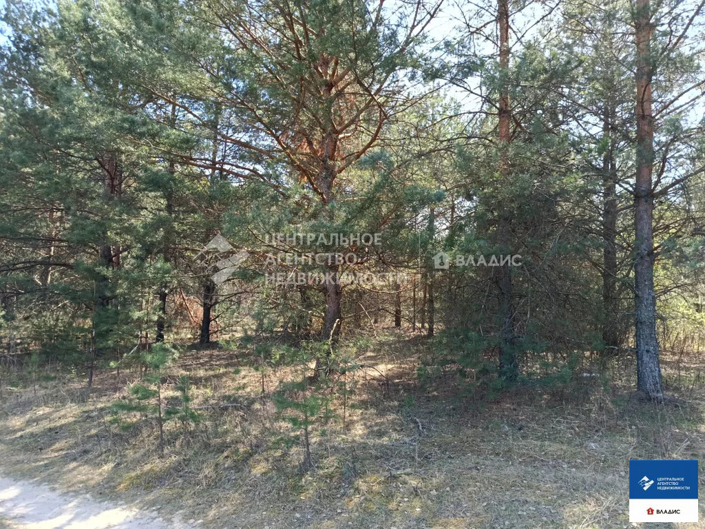 Продажа участка, Спасский район - Фото 3