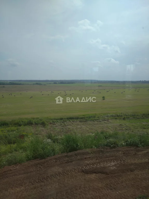 Суздальский район, село Новое,  земля на продажу - Фото 2