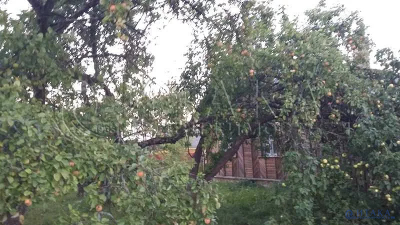 недвижимость дома дачи в пустошкинском районе. cdb42cccfdda9fa983e0be050575744201. недвижимость дома дачи в пустошкинском районе фото. недвижимость дома дачи в пустошкинском районе-cdb42cccfdda9fa983e0be050575744201. картинка недвижимость дома дачи в пустошкинском районе. картинка cdb42cccfdda9fa983e0be050575744201. Сохранить мой поиск