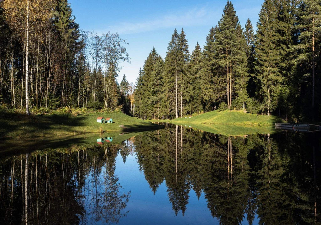 Дом в Охта Парке на участке 50,8 сот. - Фото 8