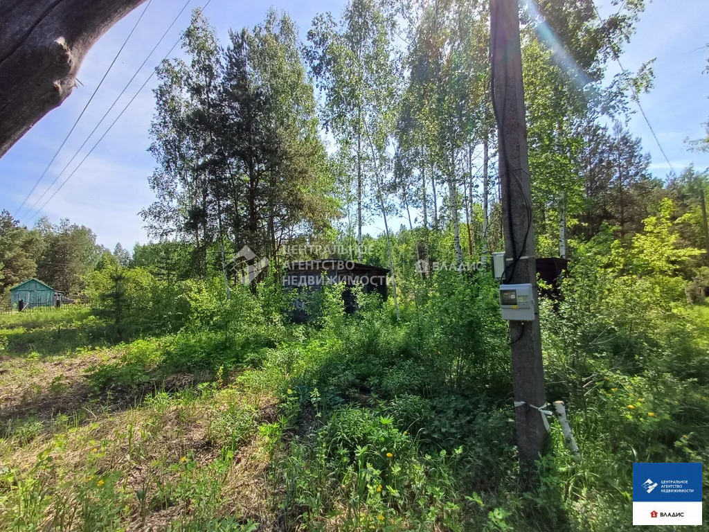 Продажа участка, Рязанский район, садоводческое товарищество Ранет - Фото 6