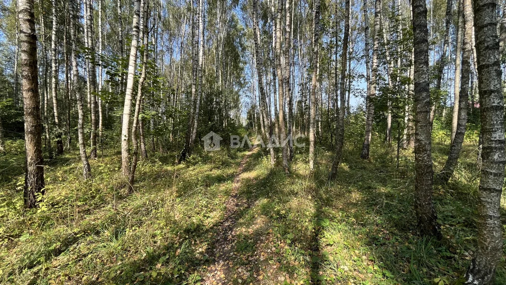 городской округ Серпухов, СНТ Дачное,  земля на продажу - Фото 9