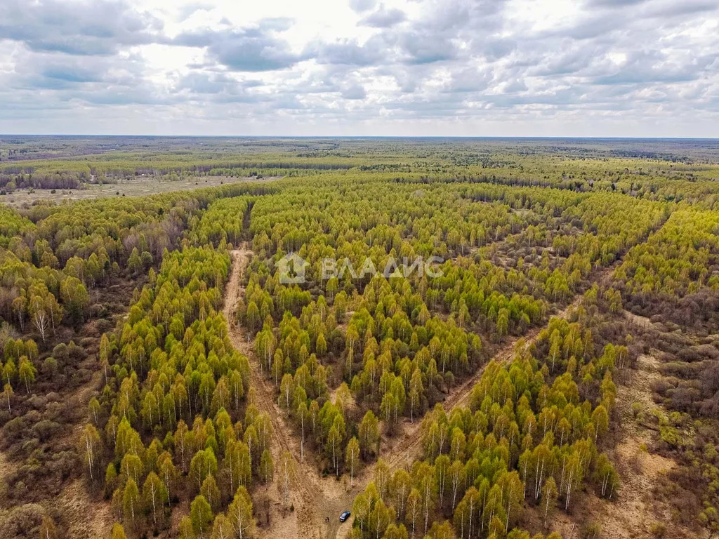 Судогодский район, деревня Кощеево, земля на продажу - Фото 7