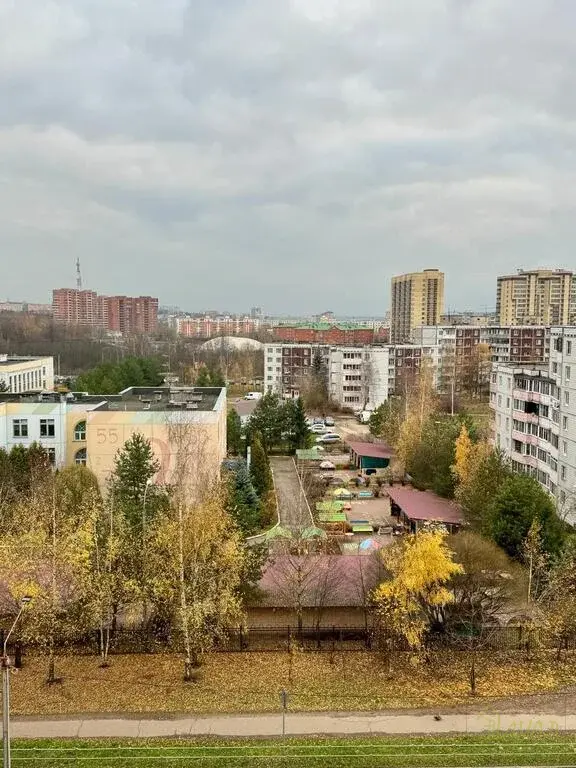 2-к квартира в Центре города - Фото 2