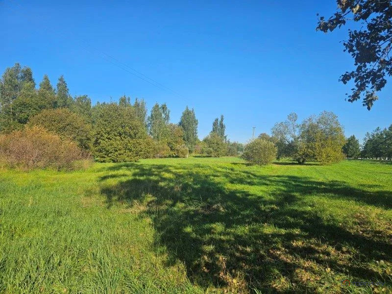 Продажа участка, Пушкин, Петербургское ш. - Фото 5