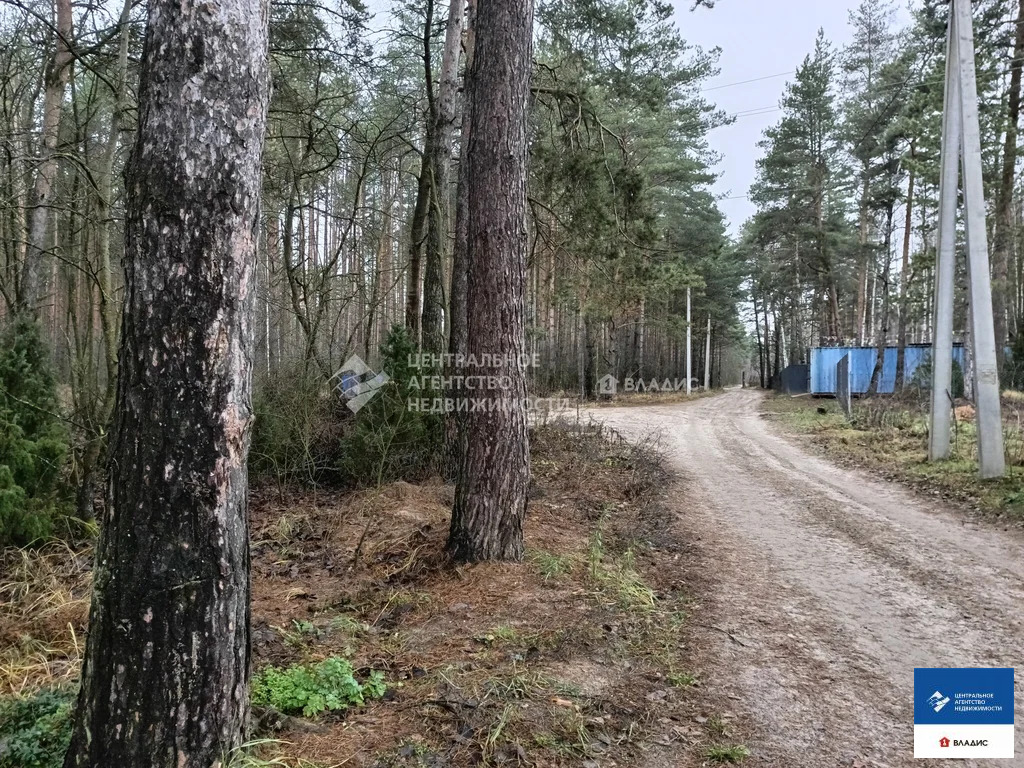 Продажа участка, Алеканово, Рязанский район - Фото 7