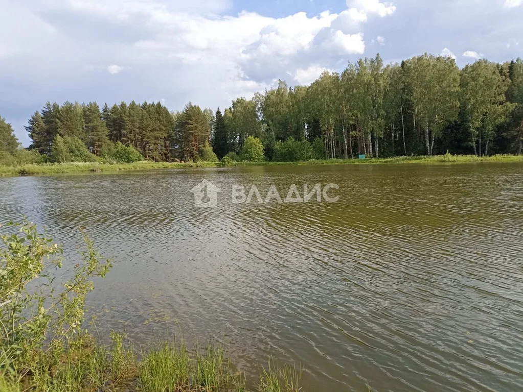 Наро-Фоминский городской округ, территория Участки в Плесенском,  дом ... - Фото 21