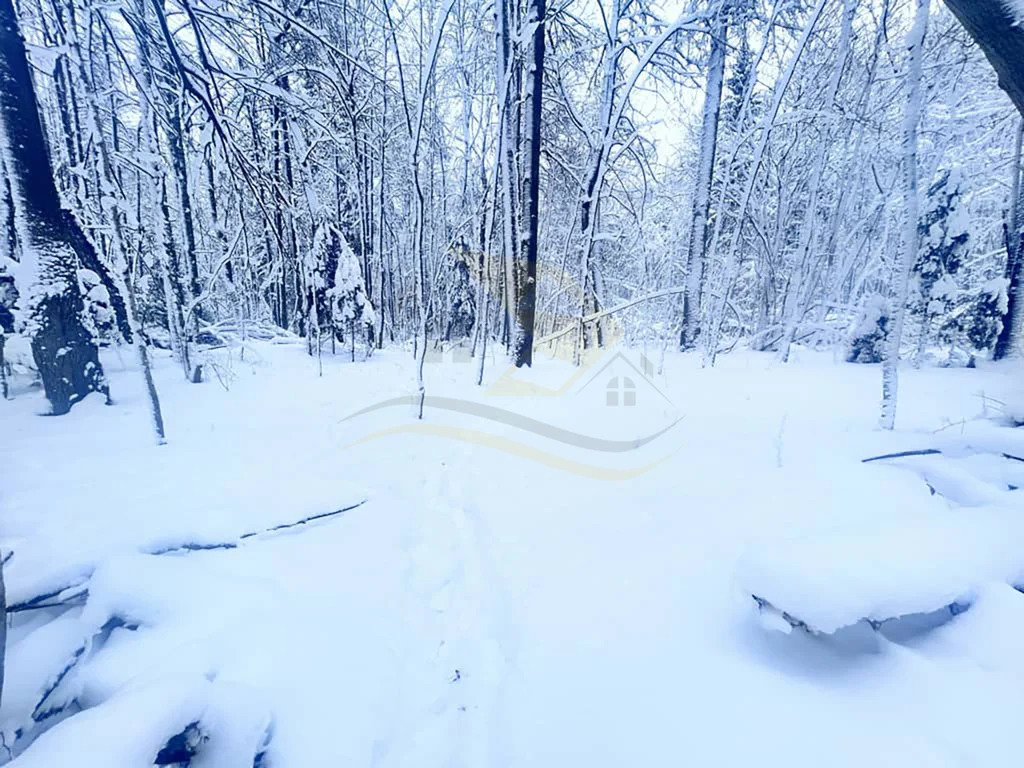 Продажа участка, Сокольники, Дмитровский район - Фото 6