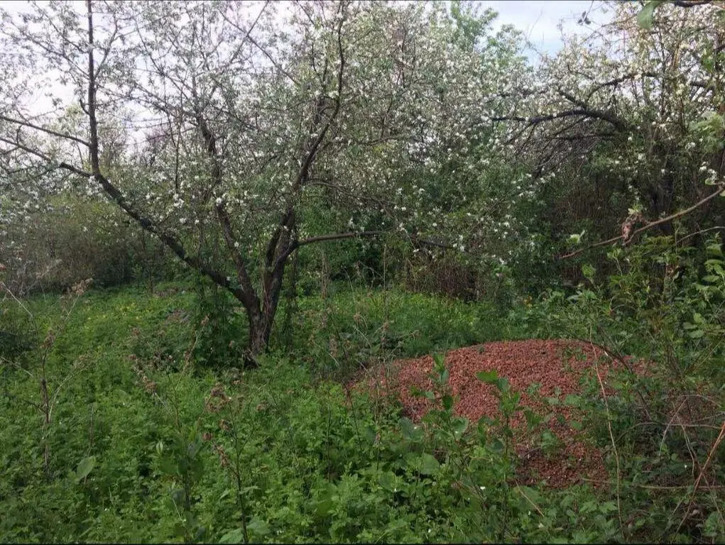 Купить Участок В Саратове Ленинский