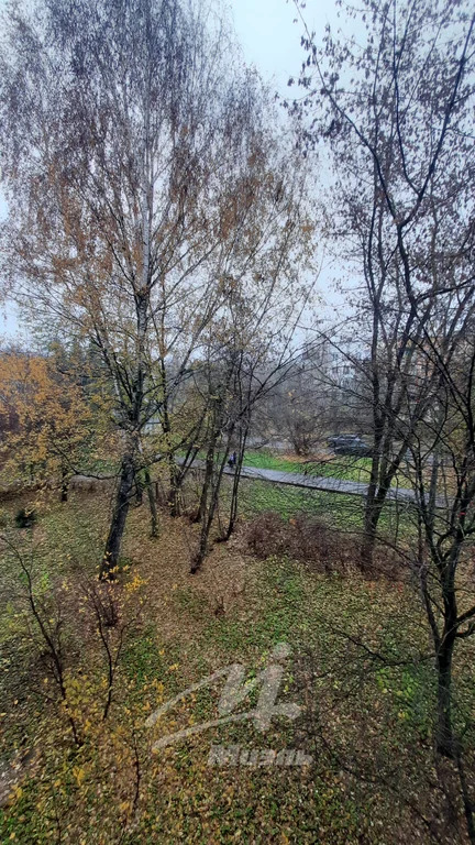 Продажа квартиры, Электроугли, Богородский г. о., ул. Школьная - Фото 10