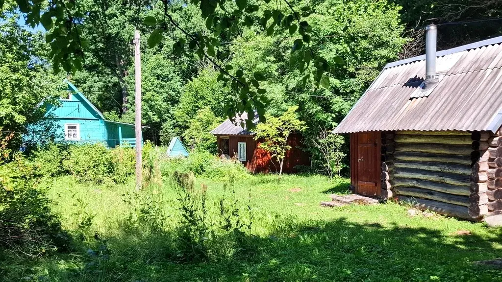 Очень уютный хуторок в лесной роще под Псковом - Фото 3