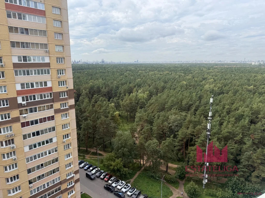 Продажа квартиры, Котельники, Сосновая улица - Фото 19