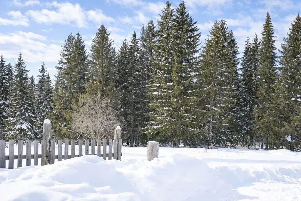 Дом по ул. Малышева - Фото 15