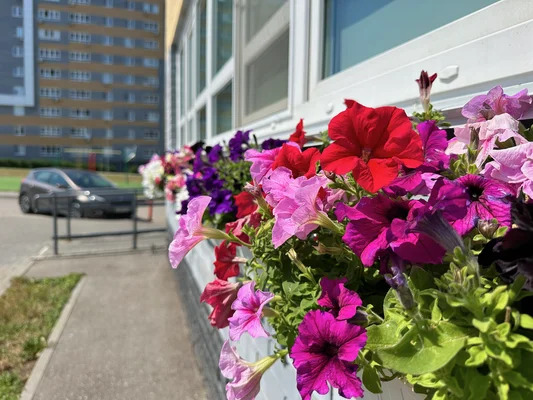 Продам однокомнатную (1-комн.) квартиру, Гагарина пр-кт, 36к5, Нижн... - Фото 8