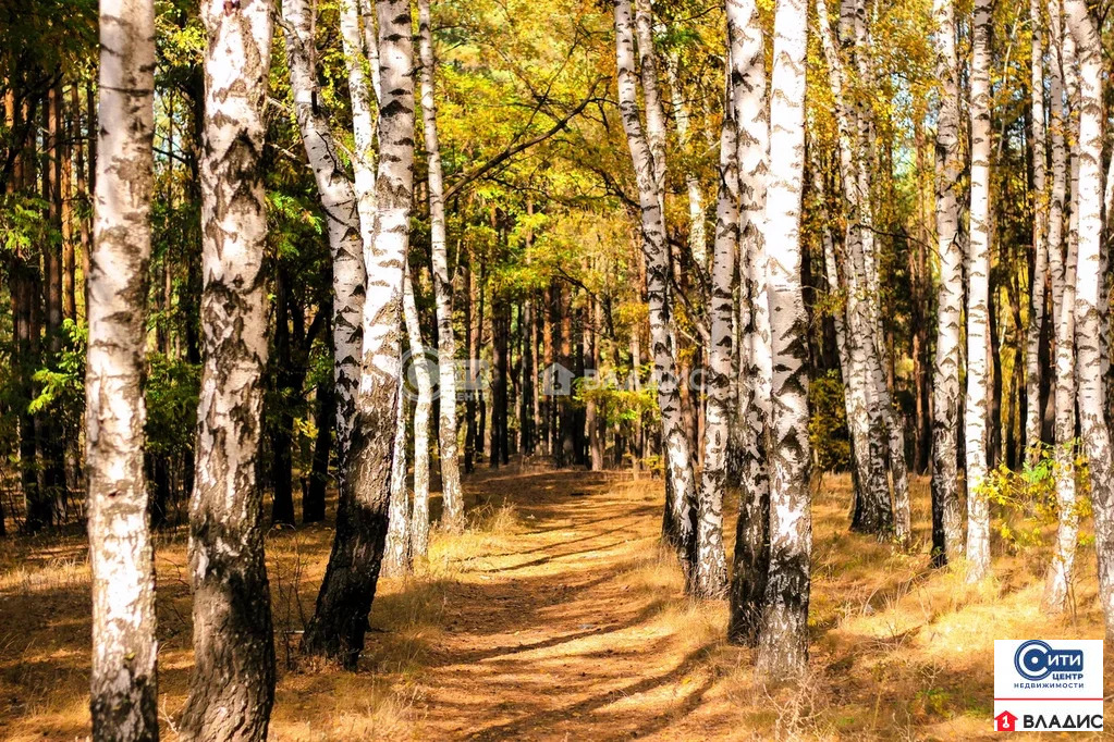 Продажа дома, Рамонский район, улица Остерманского - Фото 17