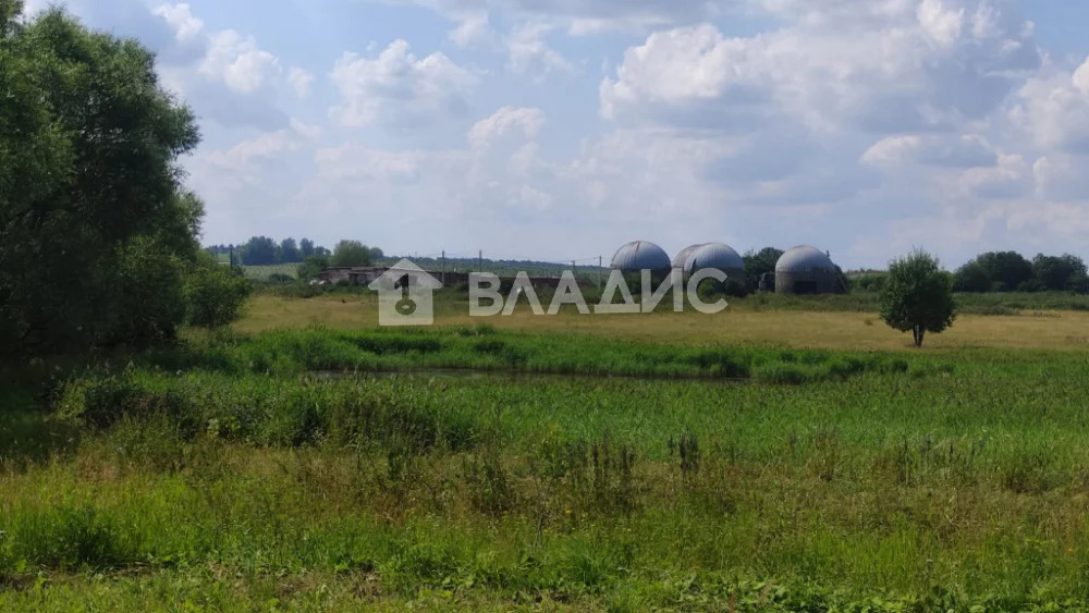 Суздальский район, село Новгородское, Светлая улица,  земля на продажу - Фото 3