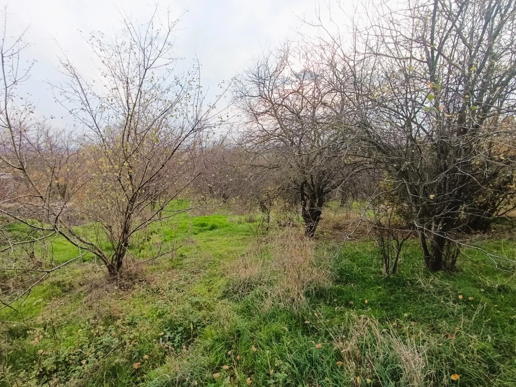 Продажа участка, Южный Склон, Темрюкский район, ул. Тимирязева - Фото 5