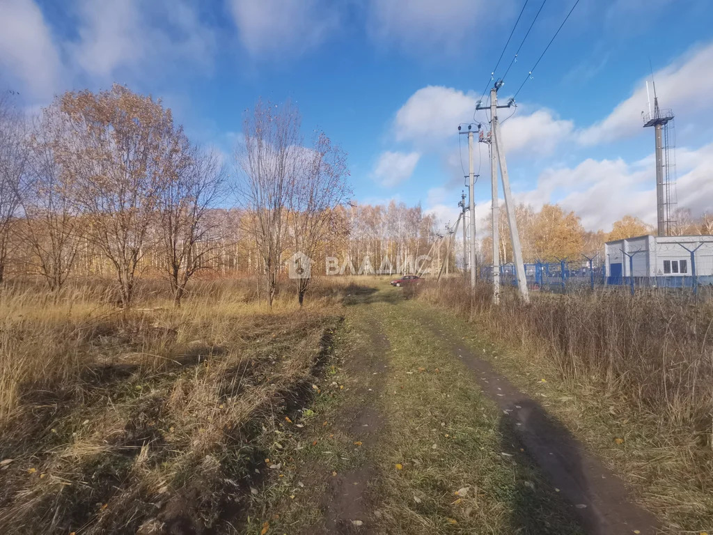 Суздальский район, село Новоалександрово,  земля на продажу - Фото 27