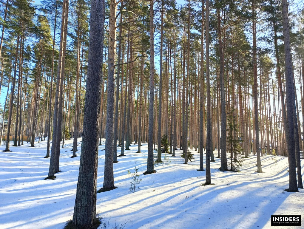 Продажа участка, Пески, Выборгский район, Ивовая ул - Фото 2