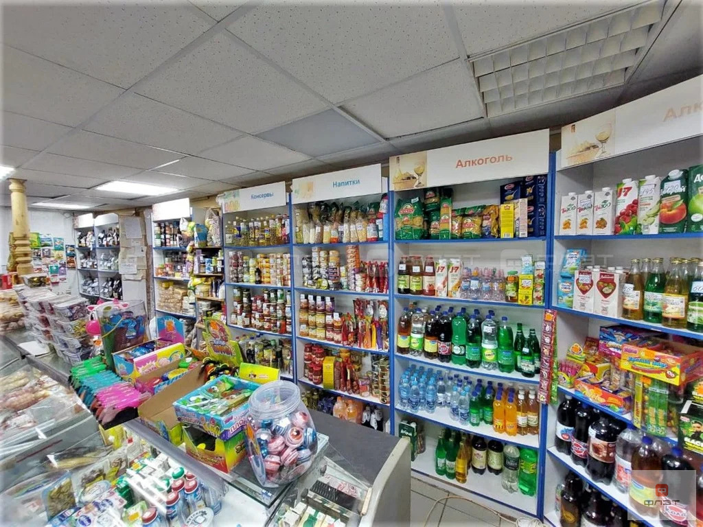 Продажа торгового помещения, Нижний Услон, Верхнеуслонский район, ул. ... - Фото 12