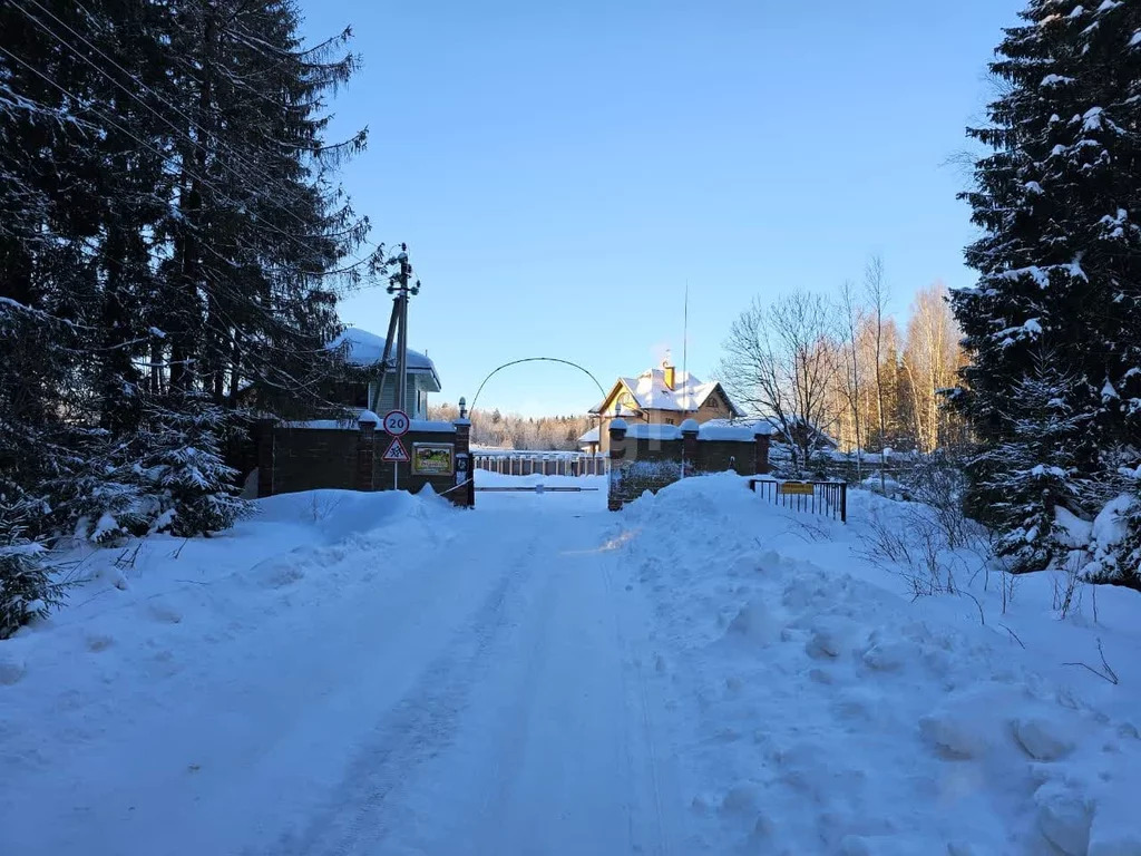 Продажа участка, Холмы, Истринский район, Ул. Березовая - Фото 2