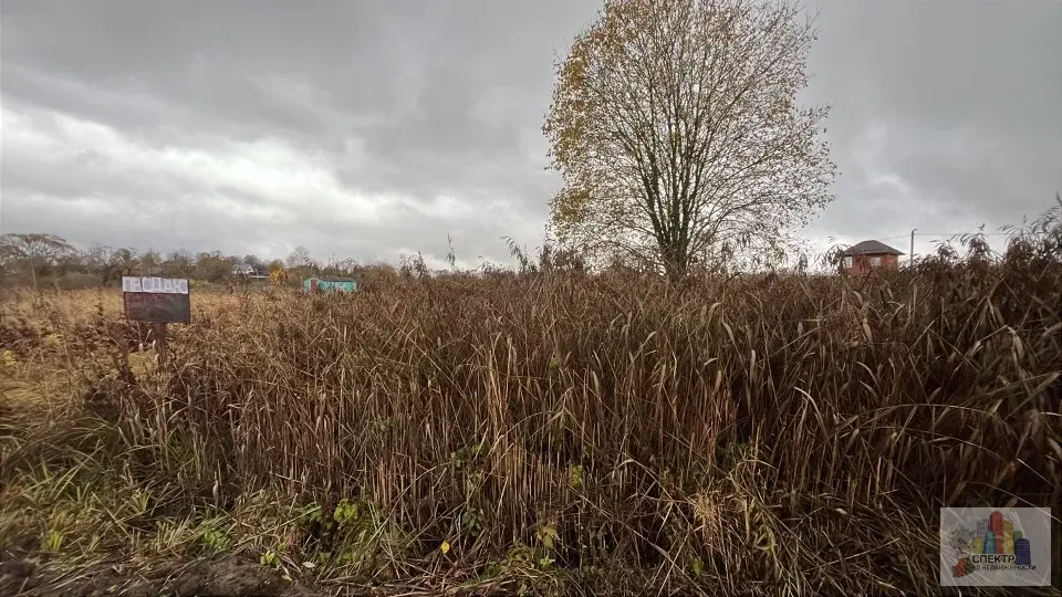 Земельный участок в Сергиево-Посадском районе - Фото 13