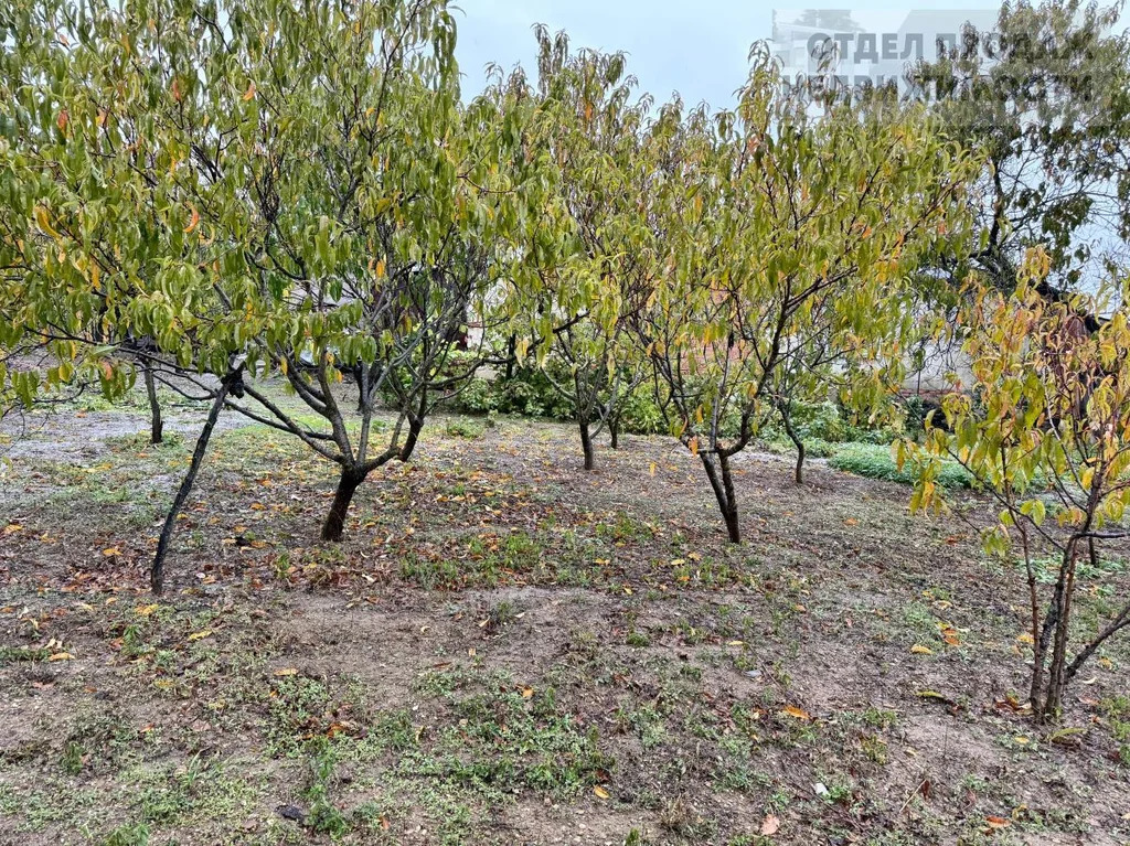 Участок - Фото 3