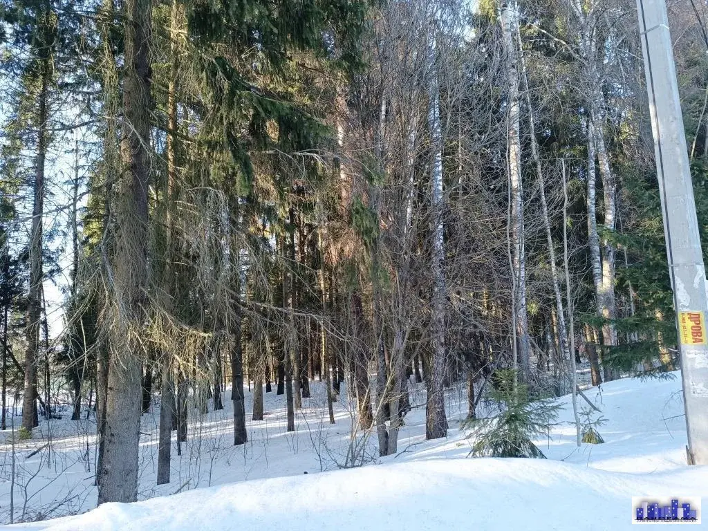 6 соток в михайловке с лесными деревьями - Фото 9