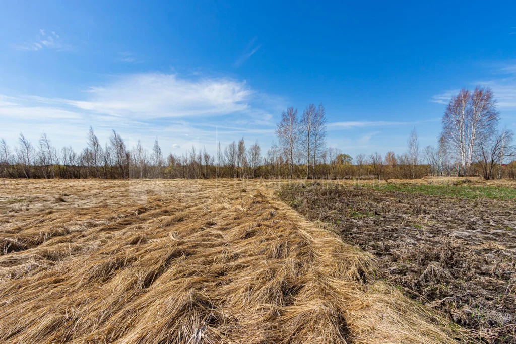 Продажа участка, Тюменский район, Тюменский р-н - Фото 13