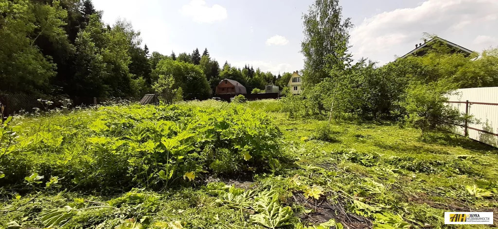 Продажа участка, Истринский район, Садовое товарищество Альтаир-2 - Фото 2