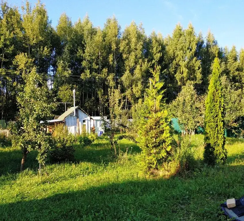 Продам дачу тульская обл. СТ №89 Вектор, дом 85 - Фото 4