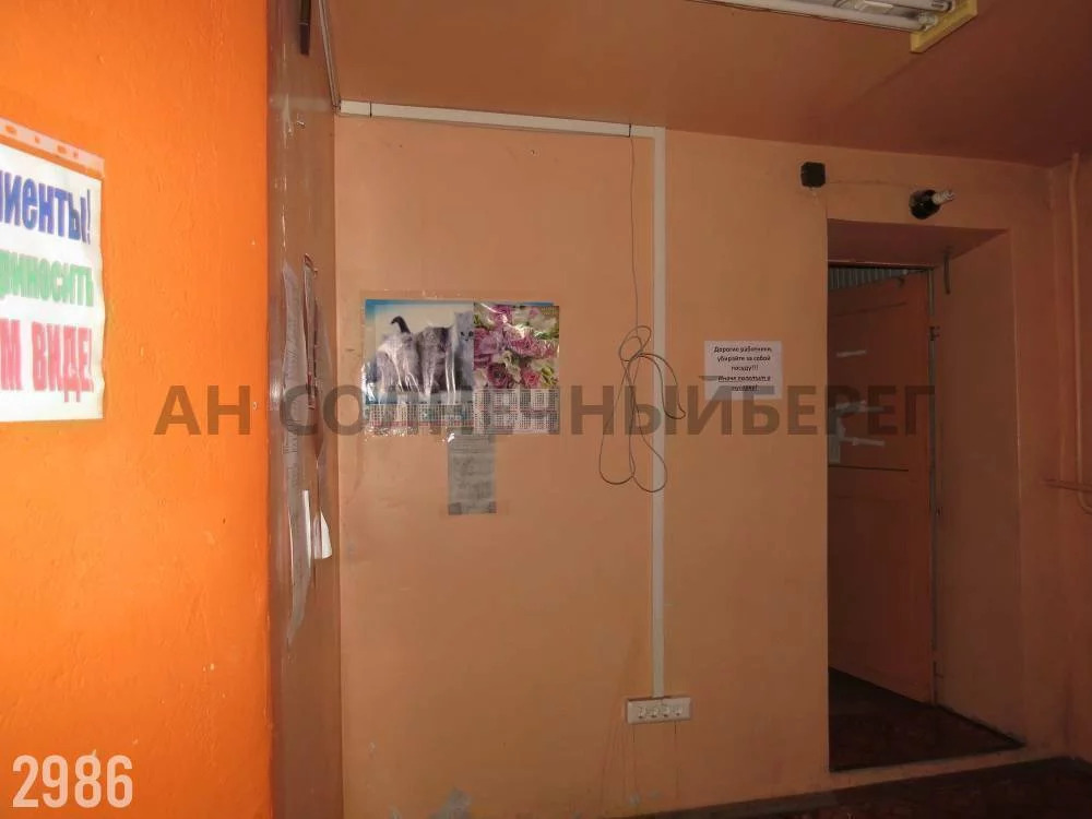 Продажа офиса, Туапсе, Туапсинский район, Ул. Кронштадтская - Фото 4