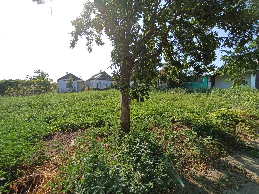 Продажа дома, Курчанская, Темрюкский район, ул. Канальная - Фото 17