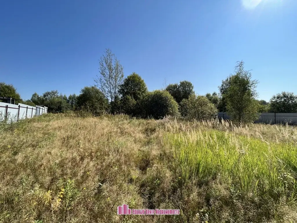 Участок 15 сот, д. Бородино, ДНП Бородино (Дмитровский район) - Фото 7