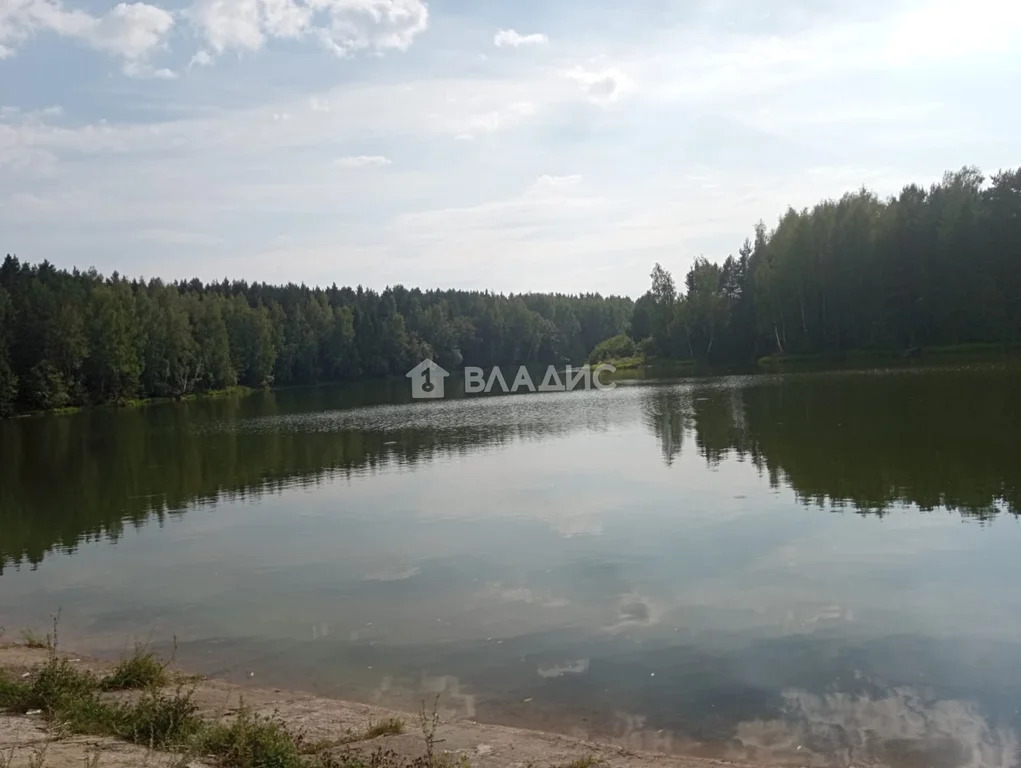 Собинский район, деревня Монаково,  земля на продажу - Фото 12