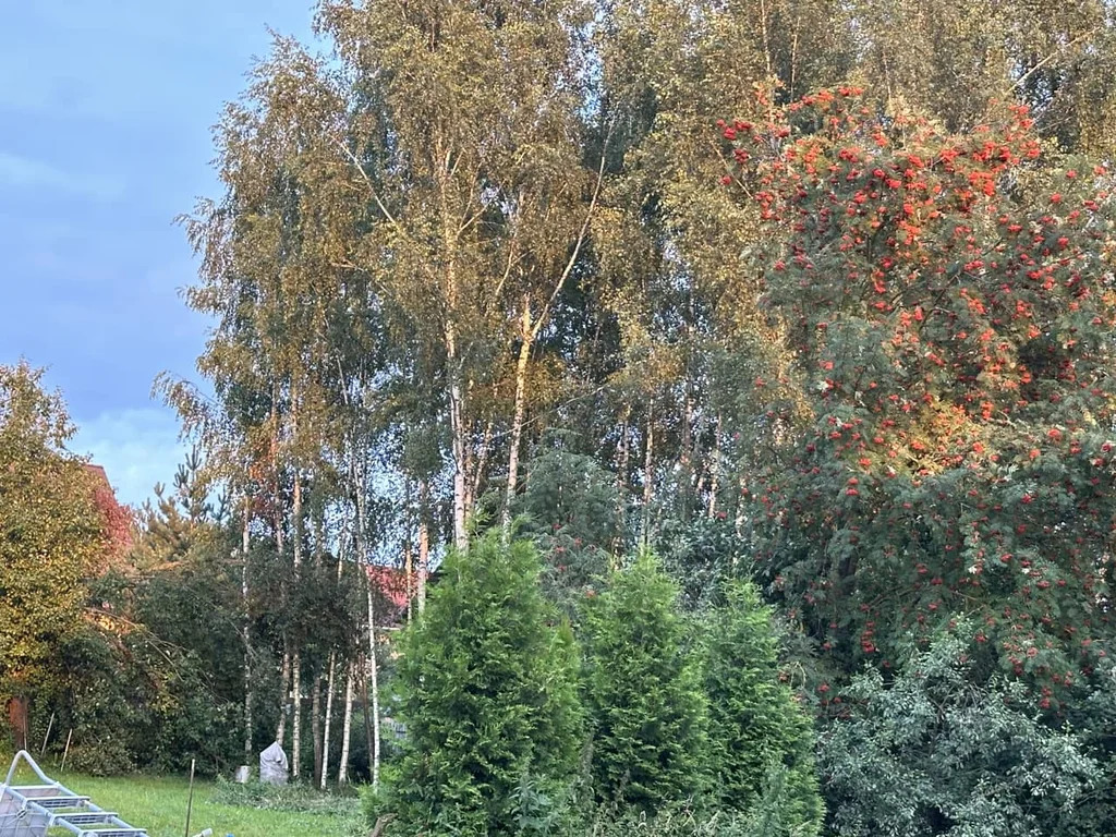 Продажа участка, Внуково, Дмитровский район - Фото 19