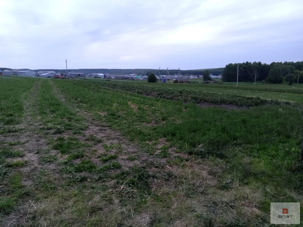 Продажа дома, Кугунур, Балтасинский район, ул. Хабибуллы Ибрагимова - Фото 19