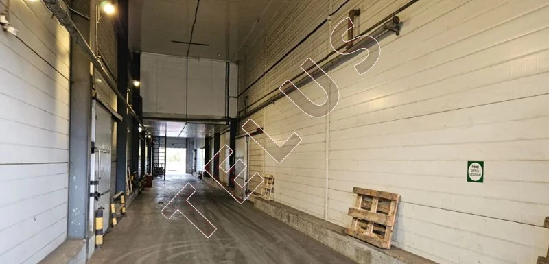 МО, Домодедово, Каширское Шоссе, 7752 м2, Складской комплекс (ном. ... - Фото 3