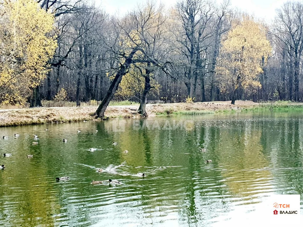 Продажа квартиры, Балашиха, Балашиха г. о., 37 - Фото 27