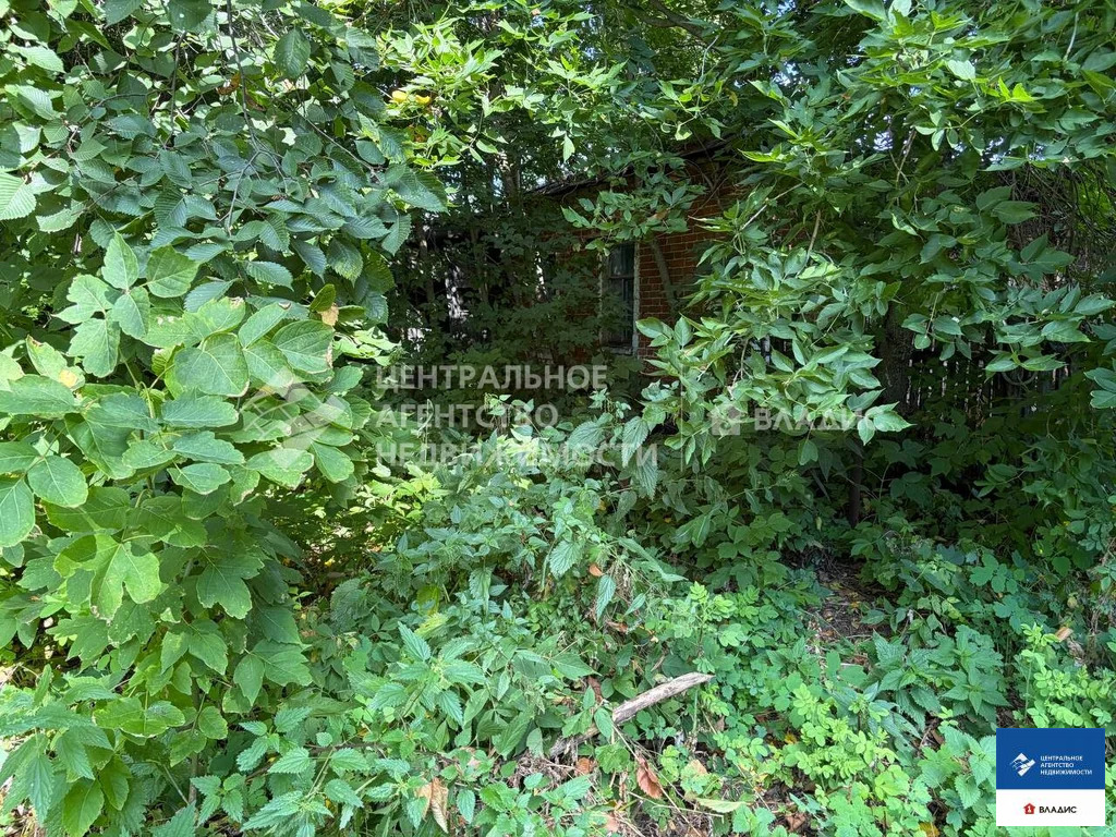 Продажа дома, Острая Лука, Спасский район, улица Кузнецовой - Фото 5