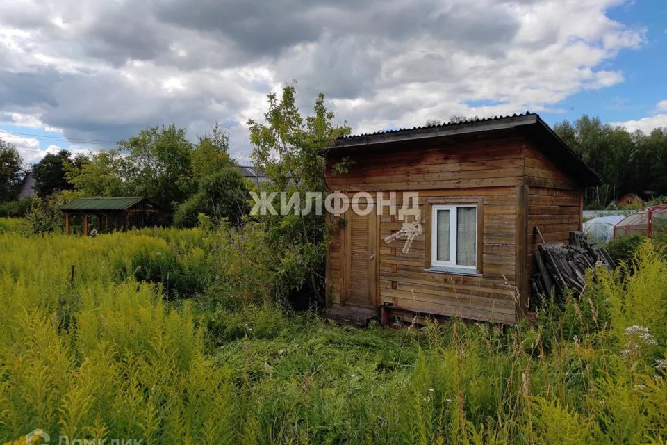 Снт нива академгородок. СНТ Восток.