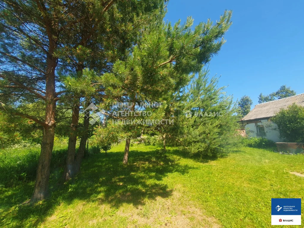 Продажа участка, Екимовка, Рязанский район - Фото 4