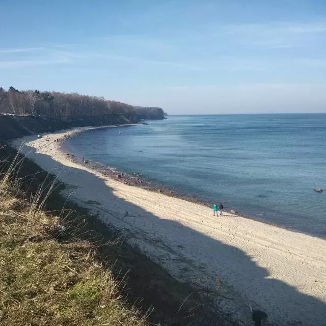 Поселок куликово калининградская область