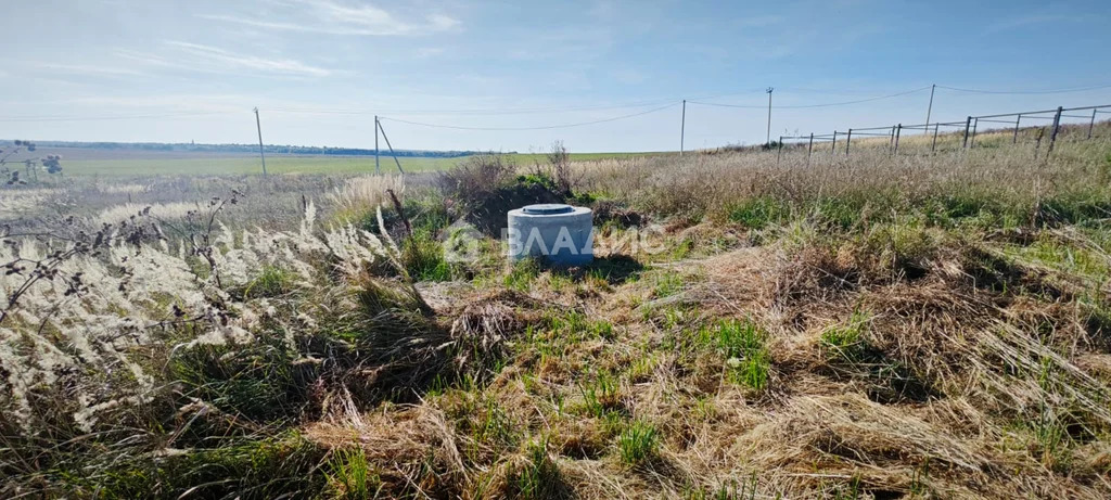 Суздальский район, село Васильково, Цветочная улица,  земля на продажу - Фото 7